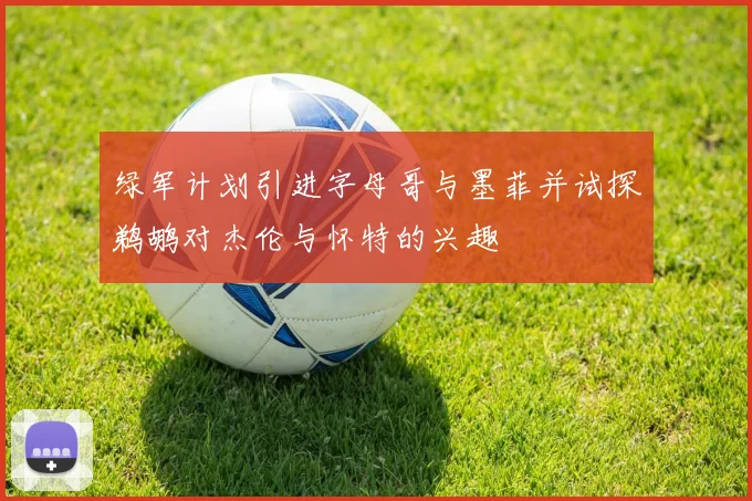 绿军计划引进字母哥与墨菲并试探鹈鹕对杰伦与怀特的兴趣